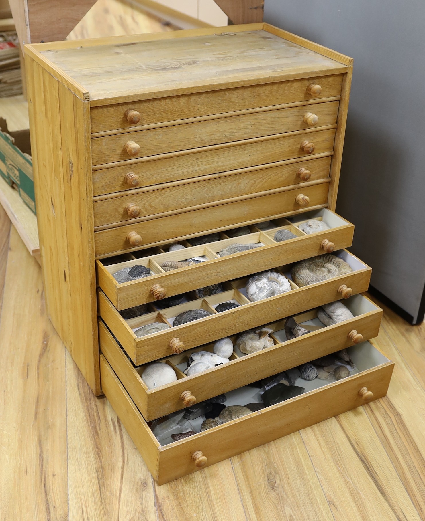 A large collection of fossil specimens, including dinosaur specimens, in an oak and pine chest of nine drawers, 69 cm high, 60 cm wide, 36.5 cm deep